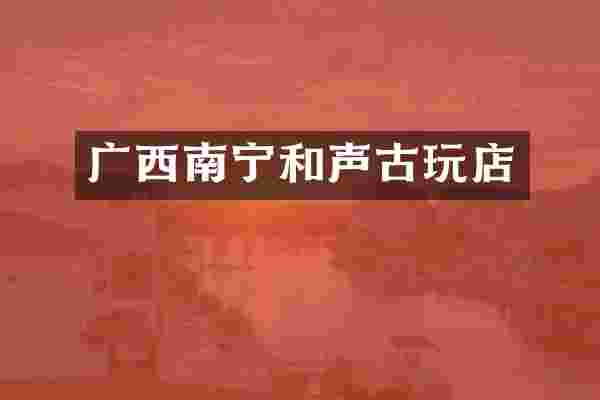 广西南宁和声古玩店