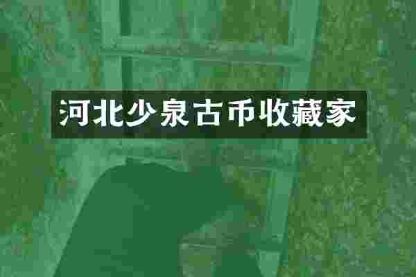 河北少泉古币收藏家