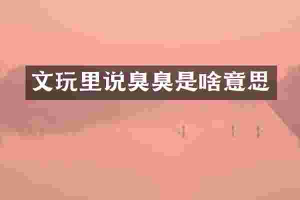 文玩里说臭臭是啥意思