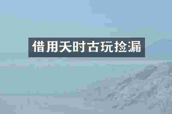借用天时古玩捡漏