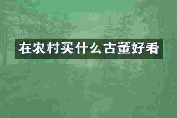 在农村古董好看