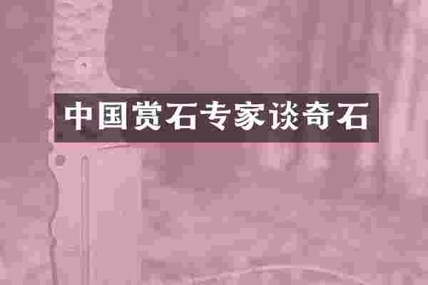 中国赏石专家谈奇石