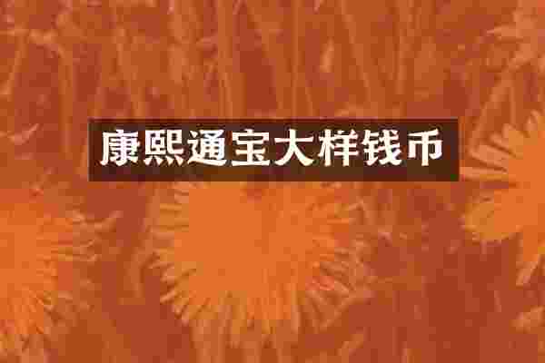 康熙通宝大样钱币