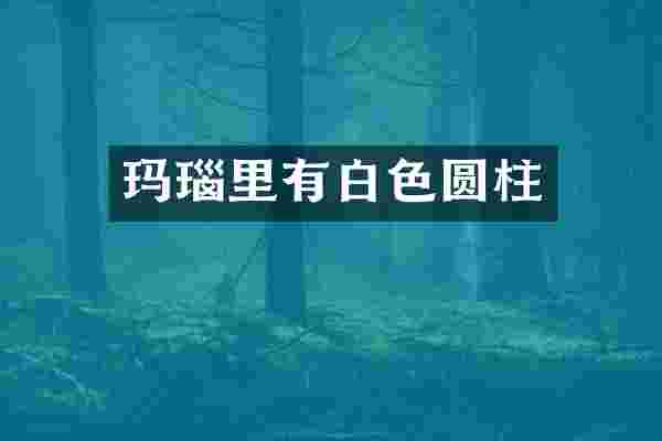 玛瑙里有白色圆柱