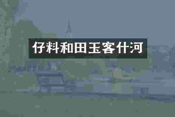 仔料和田玉客什河