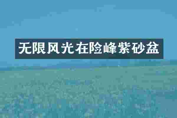 无限风光在险峰紫砂盆