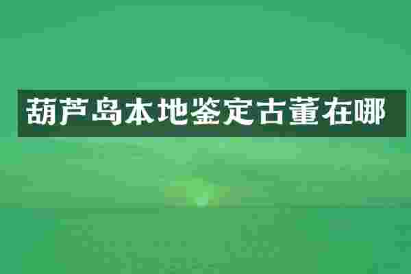 葫芦岛本地鉴定古董在哪