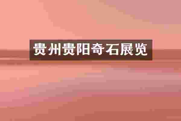 贵州贵阳奇石展览