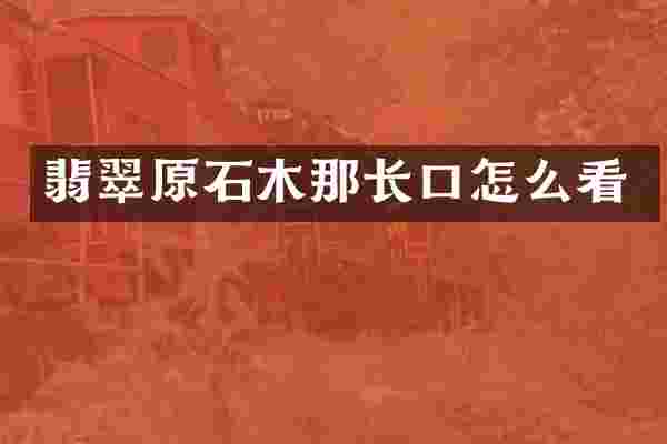 翡翠原石木那长口怎么看