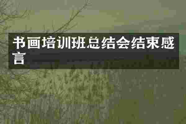 书画培训班总结会结束感言