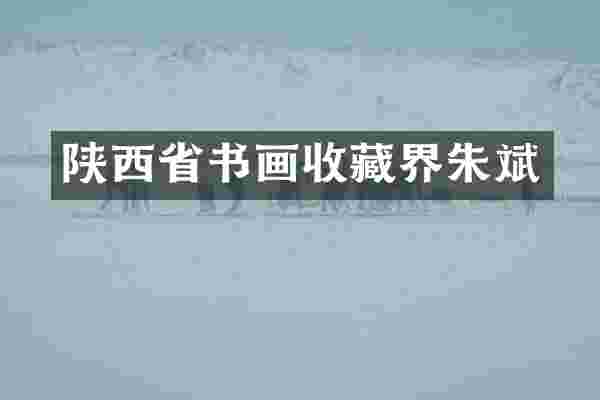 陕西省书画收藏界朱斌