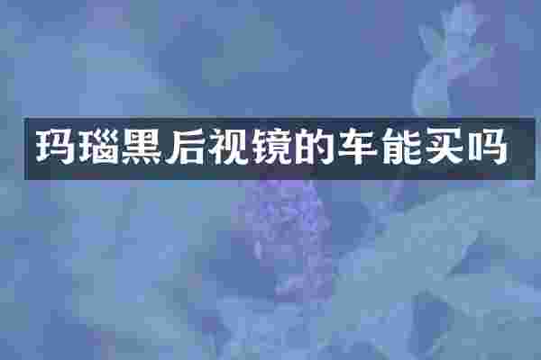 玛瑙黑后视镜的车能买吗