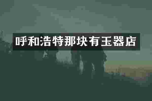 呼和浩特那块有玉器店