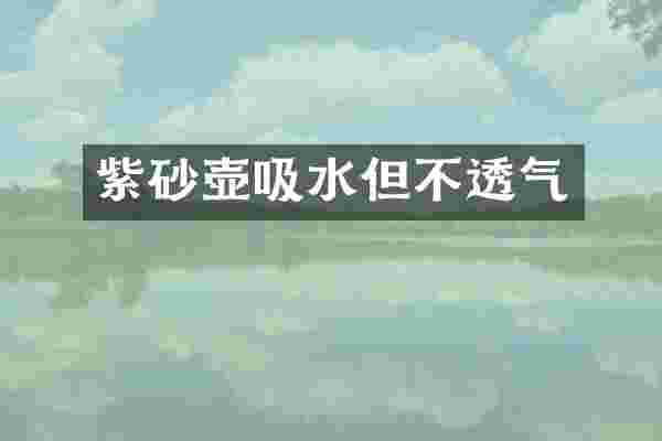 紫砂壶吸水但不透气