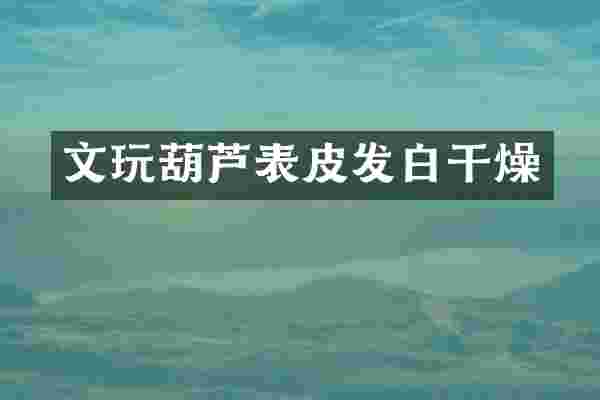 文玩葫芦表皮发燥