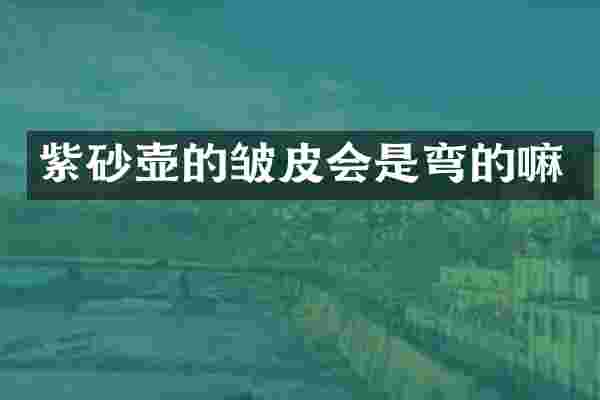 紫砂壶的皱皮会是弯的嘛