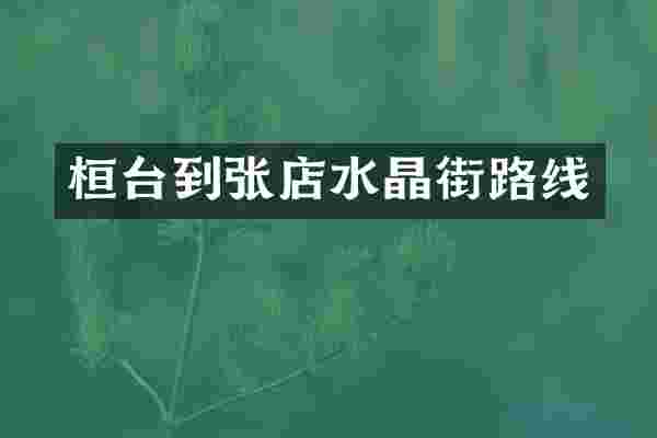 桓台到张店水晶街路线