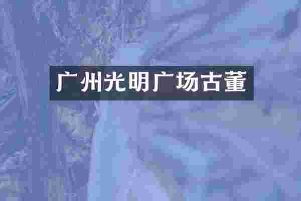 广州光明广场古董