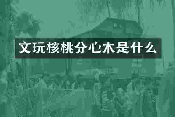 文玩核桃分心木是什么