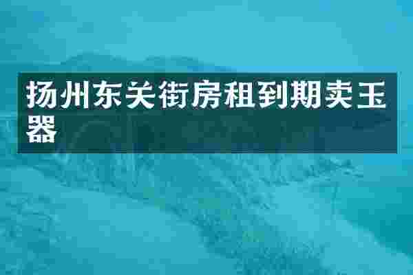 扬州东关街房租到期卖玉器