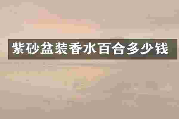 紫砂盆装香水百合多少钱