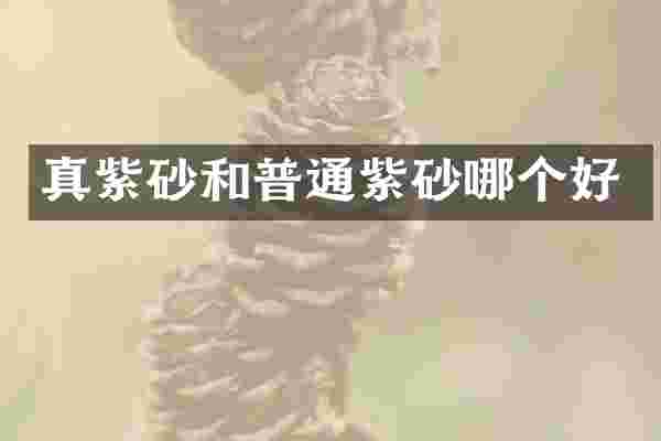 真紫砂和普通紫砂哪个好
