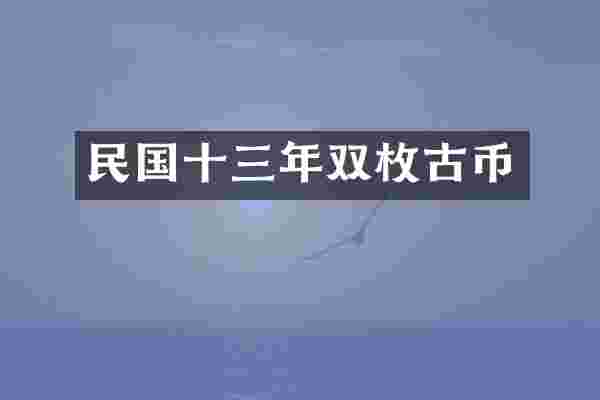 民国十三年双枚古币