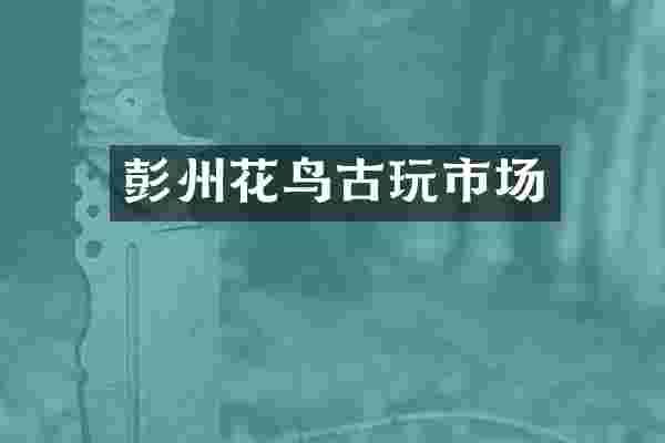 彭州花鸟古玩市场