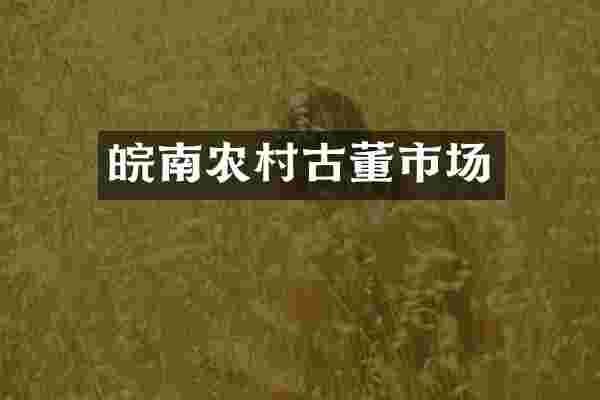 皖南农村古董市场
