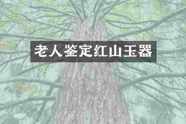 老人鉴定红山玉器