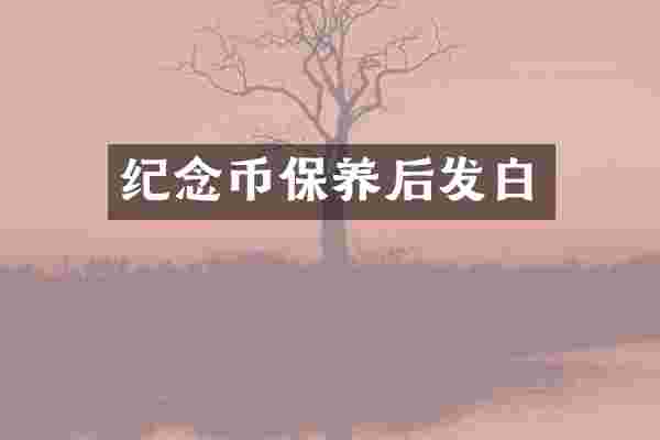 纪念币保养后发白