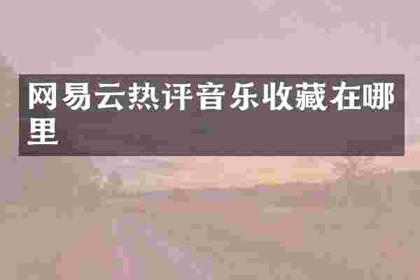 网易云热评音乐收藏在哪里