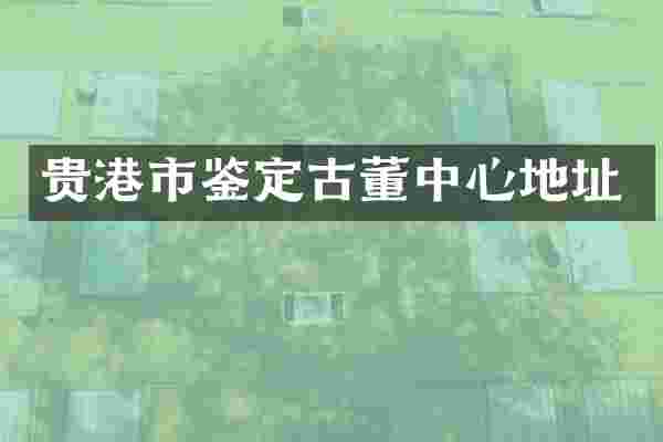 贵港市鉴定古董中心地址