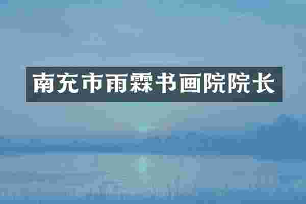 南充市雨霖书画院院长