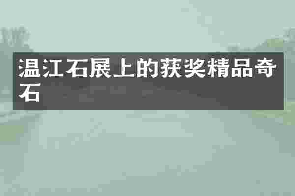 温江石展上的精品奇石