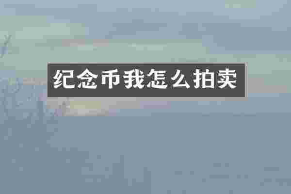 纪念币我怎么拍卖