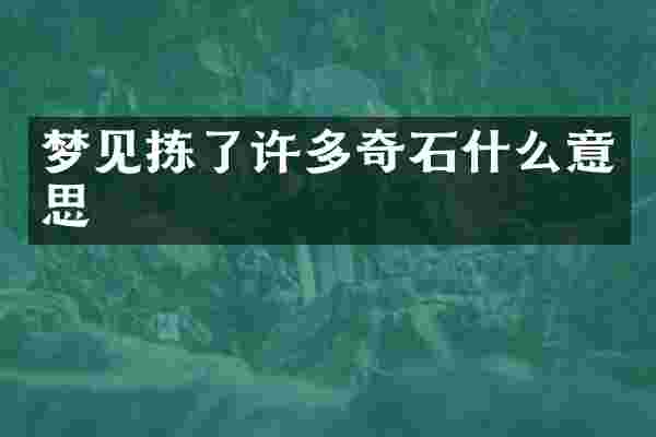 梦见拣了许多奇石什么意思