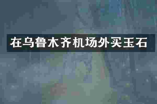 在乌鲁木齐机场外买玉石