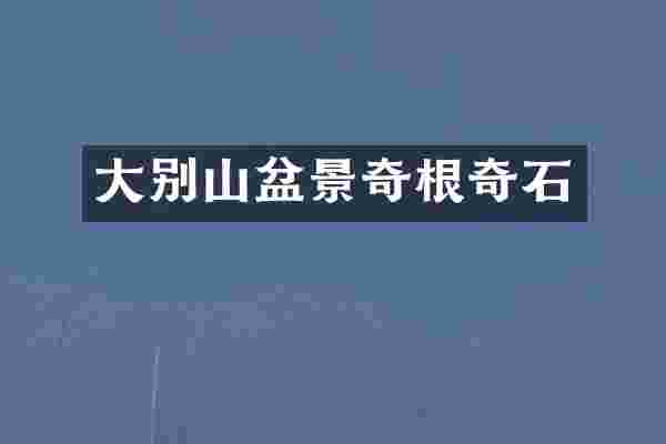 大别山盆景奇根奇石