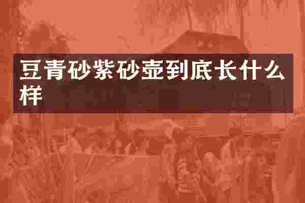 豆青砂紫砂壶到底长什么样