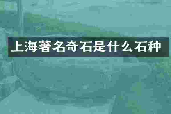 上海著名奇石是什么石种