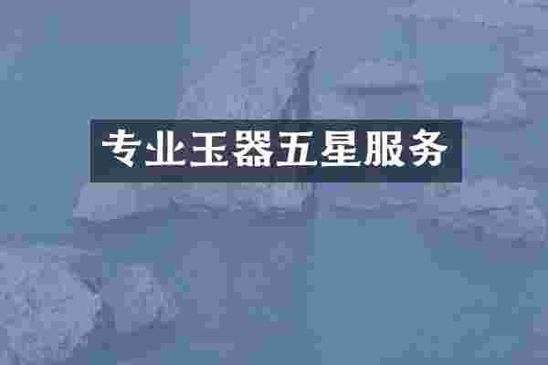 专业玉器五星服务