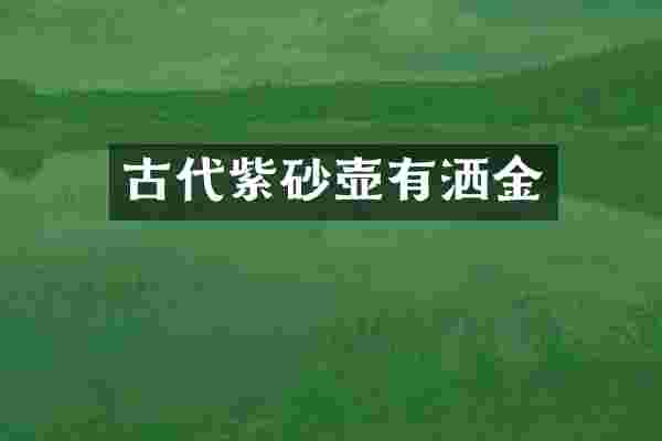 古代紫砂壶有洒金