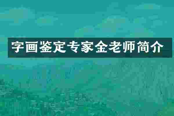 字画鉴定专家金老师简介