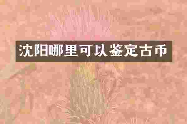 沈阳哪里可以鉴定古币