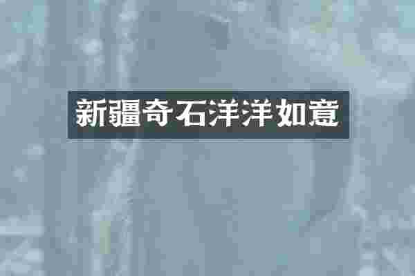 新疆奇石洋洋如意