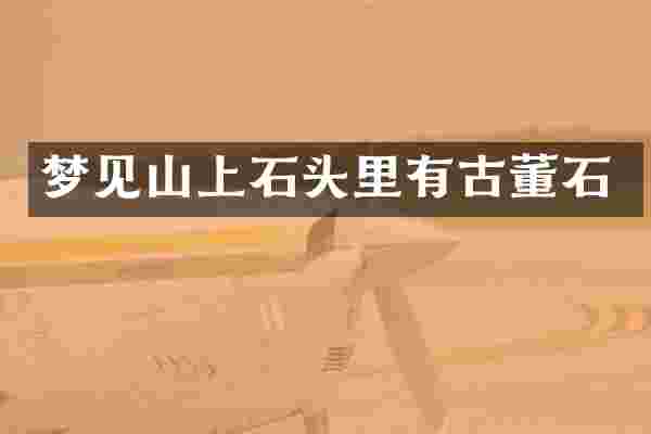 梦见山上石头里有古董石