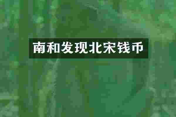 南和发现北宋钱币