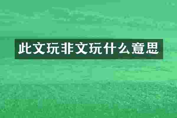 此文玩非文玩什么意思