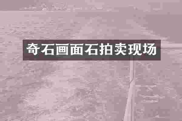 奇石画面石拍卖现场